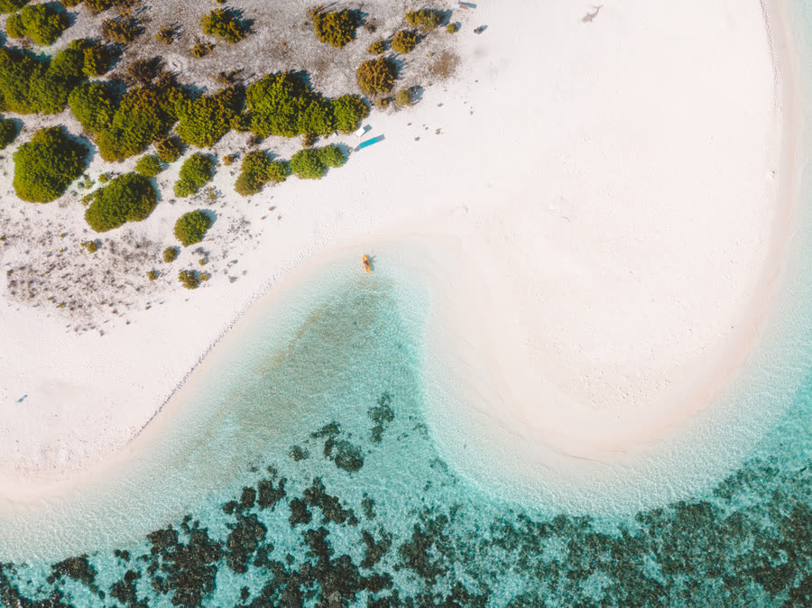 Where the beach meets the reef flat